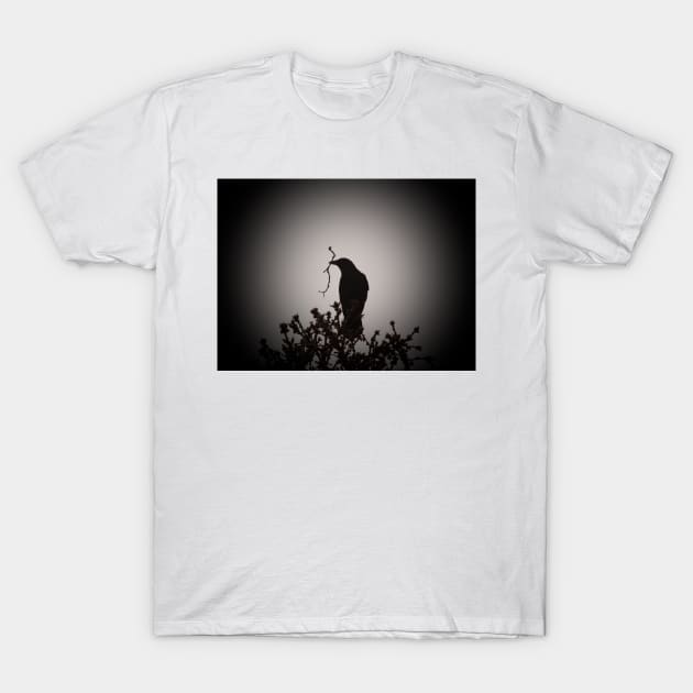 Crow silhouette T-Shirt by SandiLin